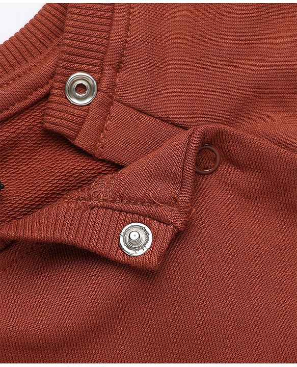 Babyhug 100% Cotton Heavy Gauge Terry Knit Sweatshirt with Full Raglan Sleeves and Animal Patch in Dark Brown