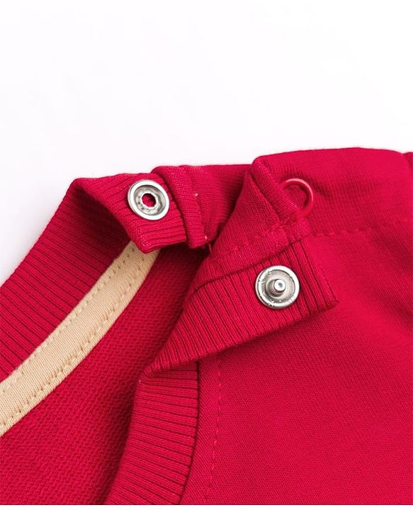 Babyhug 100% Cotton Terry Knit Sweatshirt with Full Sleeves and Bear Print - Maroon