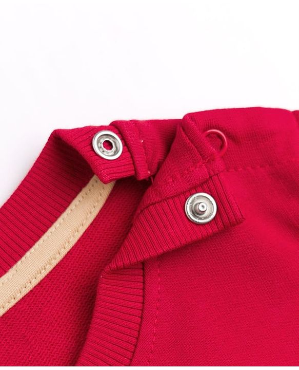 Babyhug 100% Cotton Terry Knit Sweatshirt with Full Sleeves and Bear Print - Maroon