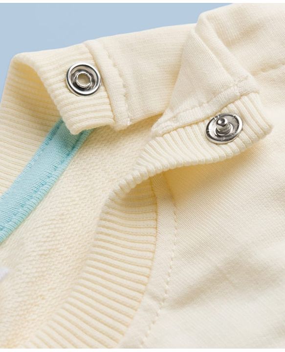 Babyhug Heavy Gauge 100% Cotton Terry Knit Sweatshirt With Full Sleeves and Teddy Bear Print - Offwhite