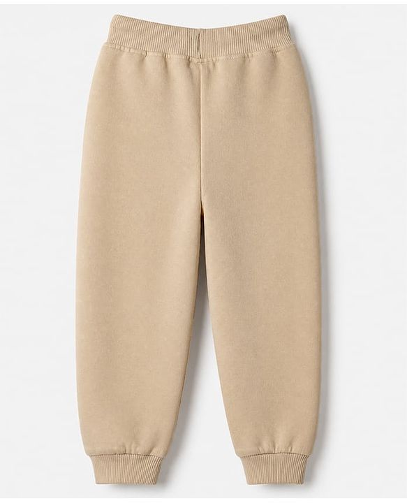 Babyhug 100% Cotton Terry Knit Full Sleeves Sweatshirt and Jogger with Bear Applique - Beige
