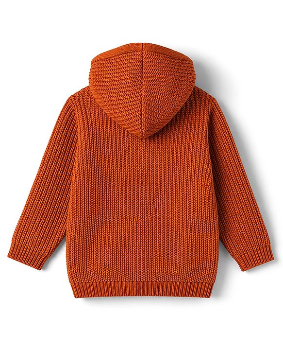 Babyhug Knit Full Sleeves Hooded Solid Sweater - Rust Orange