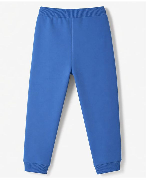 Babyhug 100% Cotton Terry Knit Full Sleeves T-Shirt & Joggers Set With Text Print - Blue