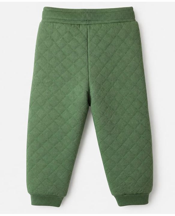 Babyhug 100% Cotton Terry Knit Full Sleeves T-Shirt & Joggers Set With Text Print & Fox Patch - Green