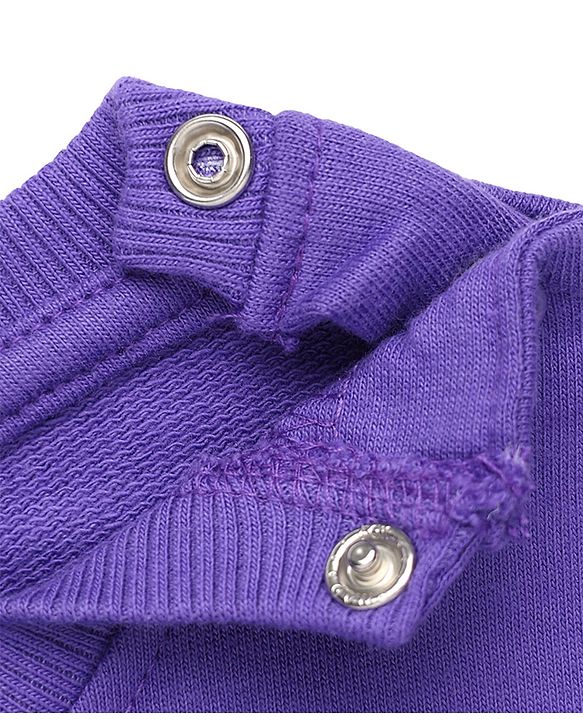 Babyhug 100% Cotton Terry Knit Heavy Gauge Full Sleeves Bear & Text Printed Sweatshirt at Front & Back - Purple