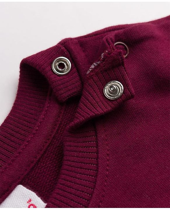 Babyhug 100% Cotton Terry Knit Full Sleeves Sweatshirt with Super Player Print - Wine