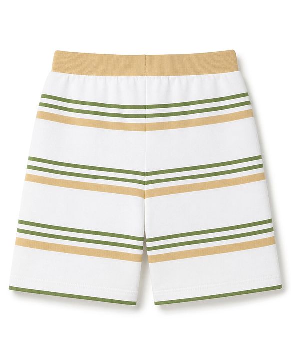 Babyhug 100% Cotton Single Jersey Cotton Knit Mid Thigh Shorts With Bear Print Pack of 3 - Green, White & Cream