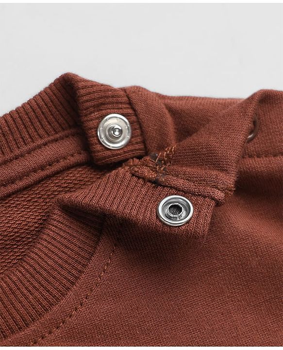 Babyhug Terry Knit Full Sleeves T-Shirt & Joggers Set With Text Print - Brown