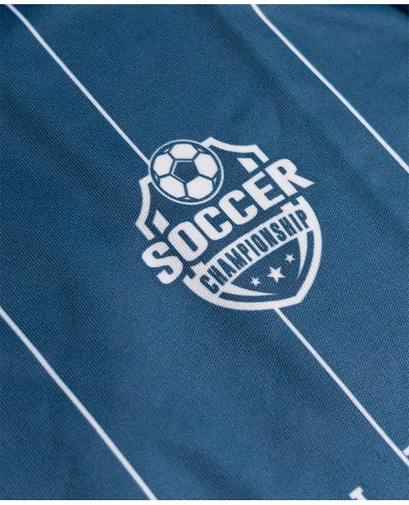 Pine Active Knit Half Sleeves T-Shirt With Stripes & Text Print - Blue
