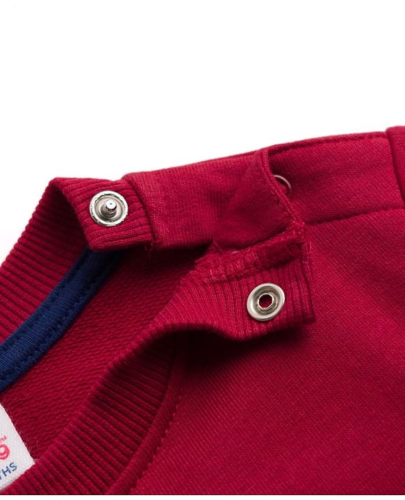 Babyhug Heavy Gauge 100% Cotton Knit Sweatshirt with Full Sleeves and Champion Text Print - Red
