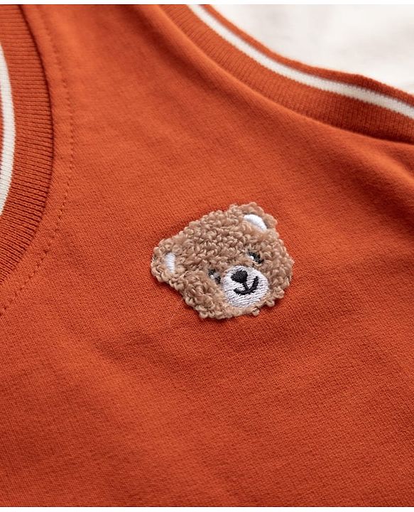 Babyhug 100% Cotton Knit Full Sleeves Heavy Gauge Sweatshirt With Tie & Bear Applique - Orange