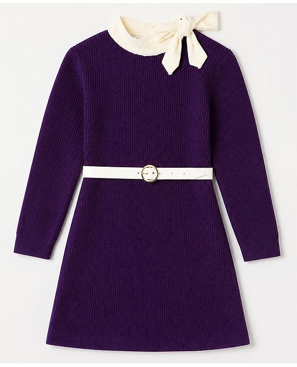 Pine Kids Knit Woolen Dress with Full Sleeves - Purple
