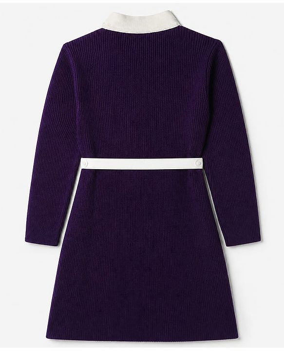 Pine Kids Knit Woolen Dress with Full Sleeves - Purple