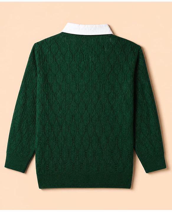 Pine Kids Knit Pullover with Full Sleeves & Cable Knit Design - Green
