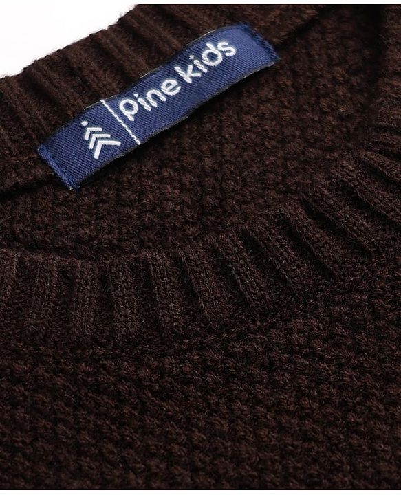Pine Kids Knit Full Sleeves Solid Textured Pullovers - Brown