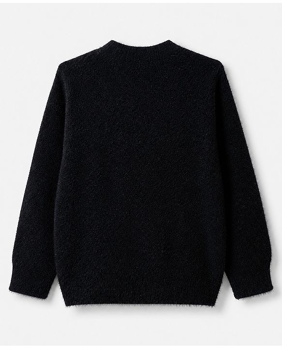 Pine Kids Pullover with Full Sleeves and Floral Embroidery in Black