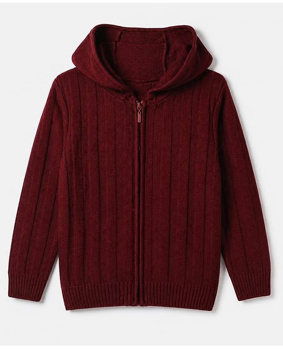Pine Kids Knit Front Open Full Sleeves Hooded Sweater - Wine