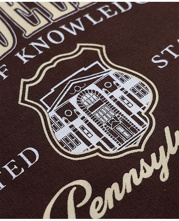 Pine Kids Cotton Mix Knit Sweatshirts With Full Sleeves and Philadelphia Text Print - Brown