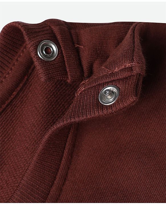 Babyhug 100% Cotton Knit Full Sleeves Sweatshirt With Bear Applique - Brown
