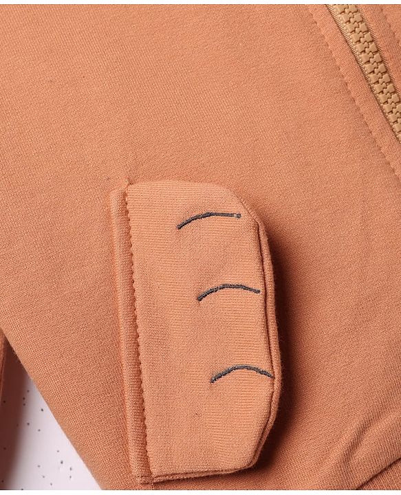 Babyhug 100% Cotton Knit Sweatshirt with Full Sleeves and Bear Hugs Bear Applique in Light Brown