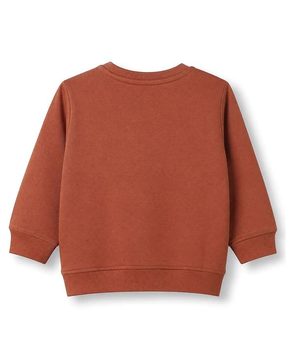 Babyhug 100% Cotton Knit Sweatshirt with Full Sleeves and Little Explorer Text in Brown