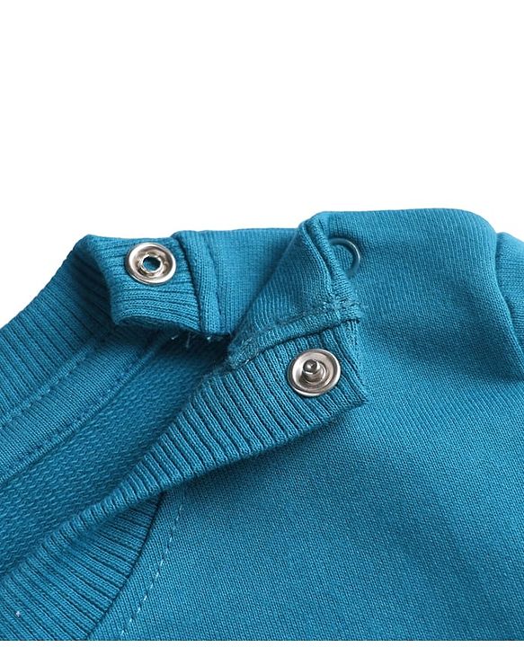Babyhug 100% Cotton Terry Heavy Gauge Sweatshirt with Full Sleeves and New York City Print - Blue