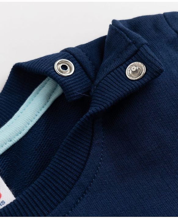 Babyhug 100% Cotton Terry Knit Heavy Gauge Full Sleeves Sweatshirt With Animal & Text Print Pack of 2 - Red & Navy Blue