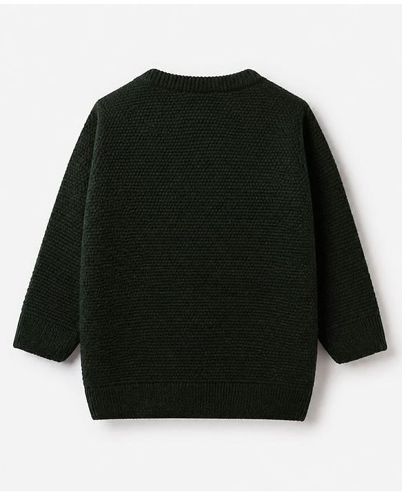 Babyhug Knit Pullover with Full Sleeves and Little Genius Text in Dark Green