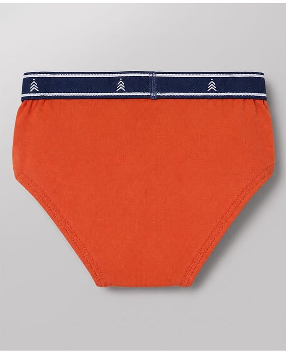 Pine Kids Cotton Elastane Knit Stripped Briefs with Airplane Print Pack of 3 - Blue Orange & Light Blue