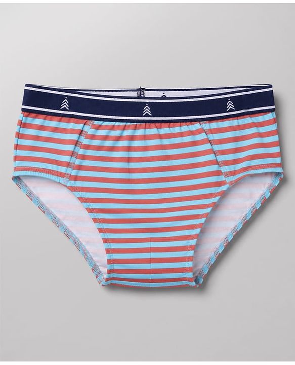 Pine Kids Cotton Elastane Knit Stripped Briefs with Airplane Print Pack of 3 - Blue Orange & Light Blue