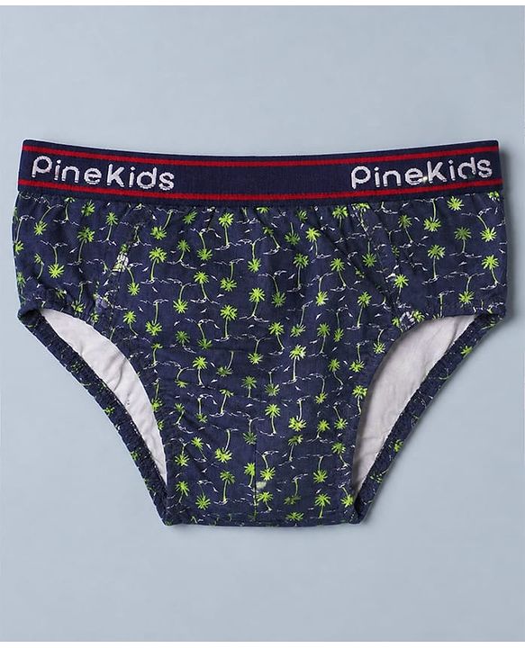 Pine Kids Cotton Elastane Knit Striped Briefs With Aeroplane Print Pack of 3 - Red & Blue
