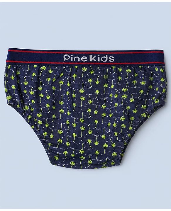 Pine Kids Cotton Elastane Knit Striped Briefs With Aeroplane Print Pack of 3 - Red & Blue