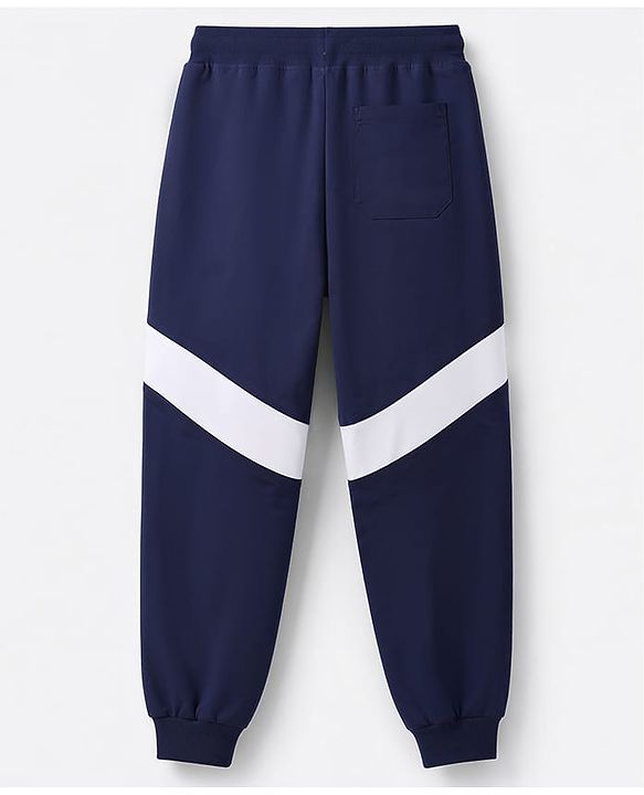 Pine Kids Knit Full Length Striped Printed Lounge & Track Pant - Blue