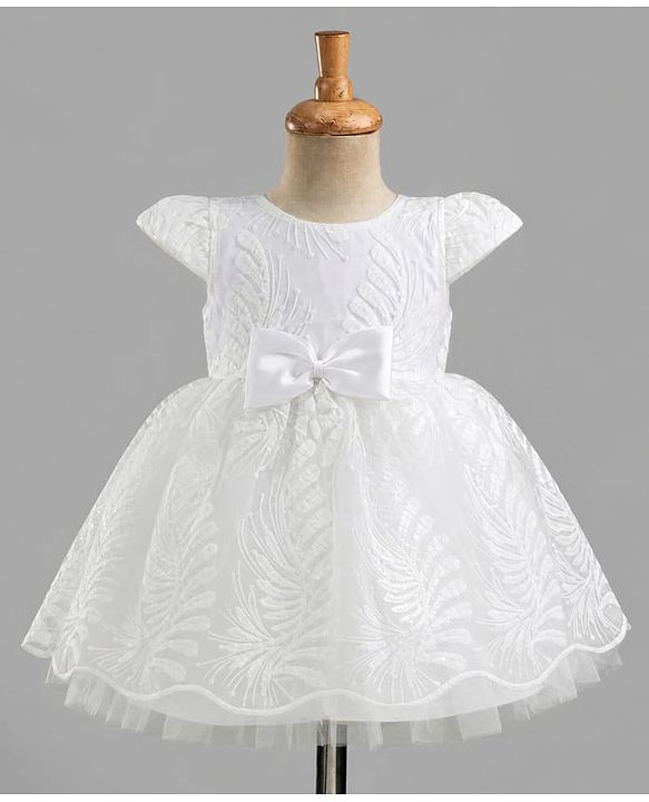 Babyhug Mesh Woven Half sleeves Party Dress With Sequin Leaves Thread Embroidery & Bow Applique - White