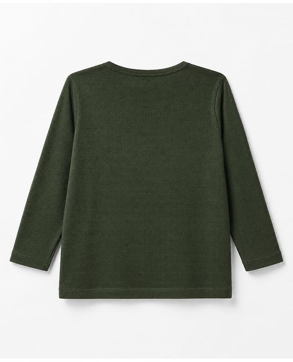 Pine Kids Knit Full Sleeves Solid Round Neck T-Shirt - Olive Green