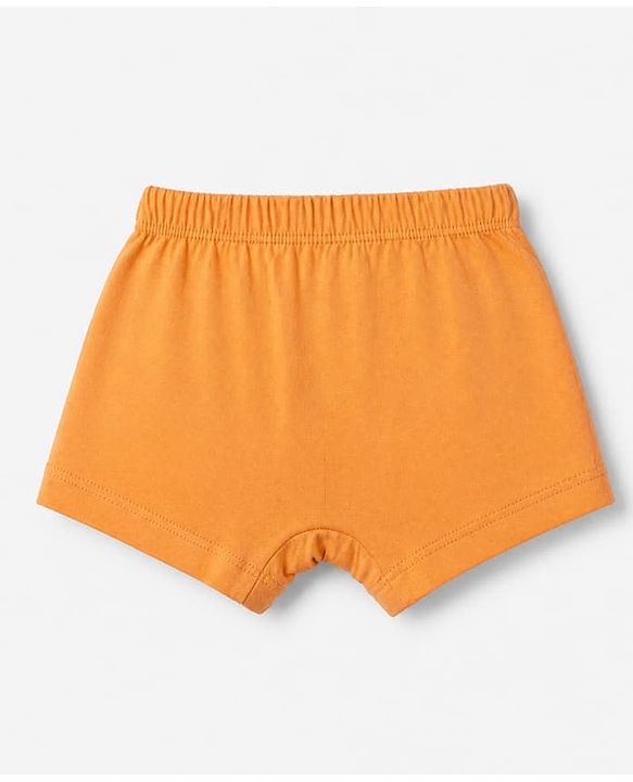 Babyhug Disney 100% Cotton Knit Briefs With Disney Character Graphic Pack Of 3 - Sky Blue Orange & Navy Blue