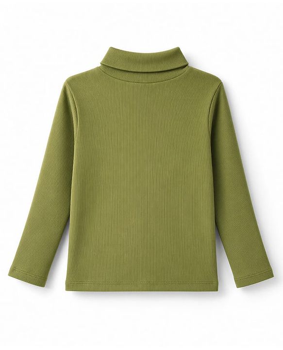 Babyhug Cotton Rib Knit Winter Wear T-Shirt with Full Sleeves - Olive Green