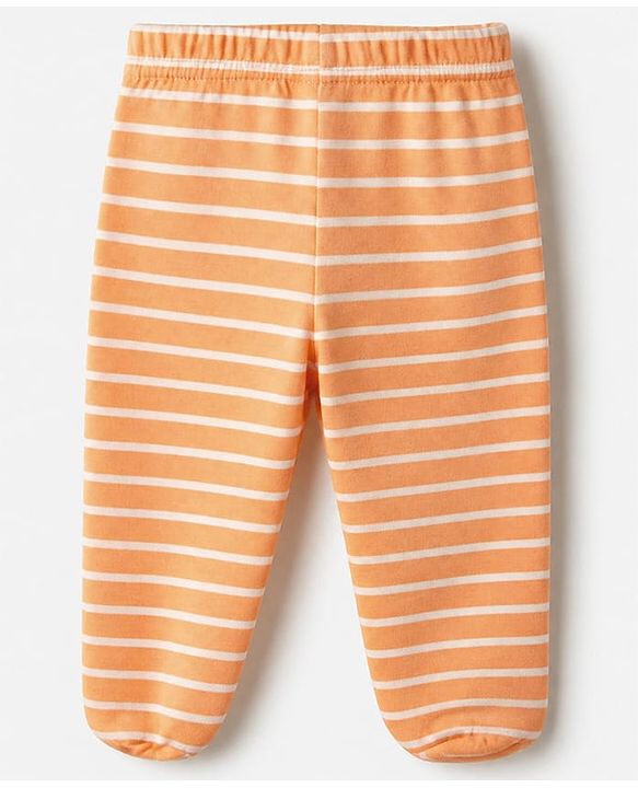 Babyhug Cotton Knit Footed Bootie Leggings With Animal Print Pack of 3 - Orange Light Green Blue