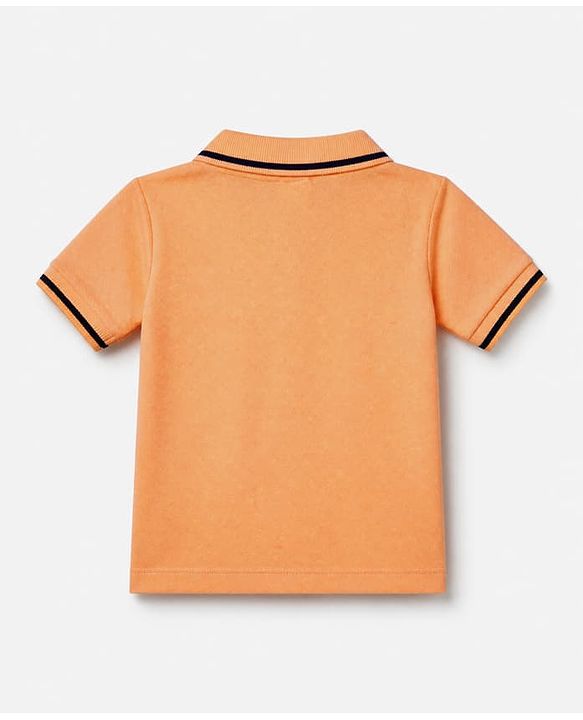 Babyhug Cotton Knit Half Sleeves Polo T-Shirt With Dino Embroidery - Peach