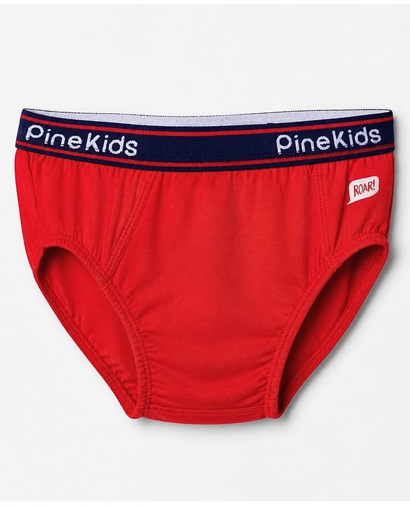 Pine Kids Cotton Elastane Knit Briefs with Dinosaur Print Pack of 3 - Mustard Red & Green