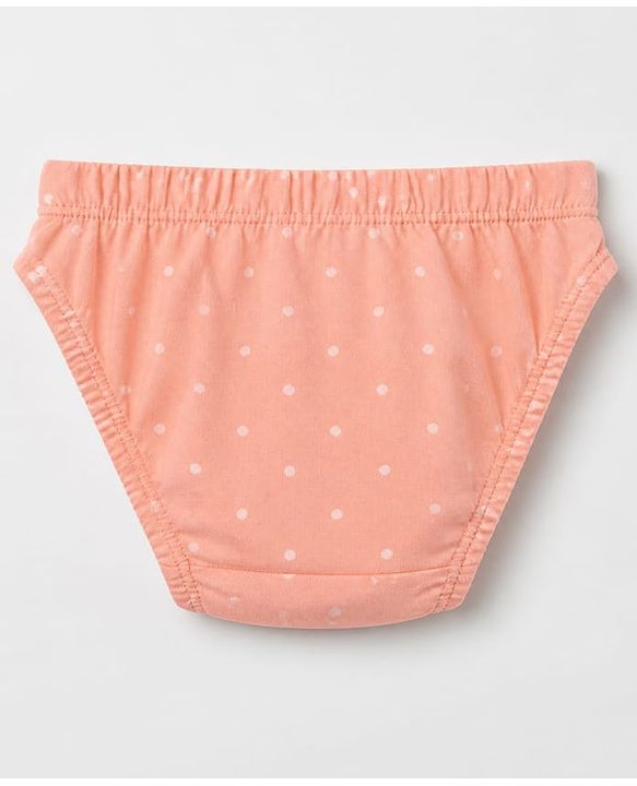 Babyhug 100% Cotton Single Jersey Knit Panties With Floral & Polka Dots Print Pack of 3 - Pink Orange & White