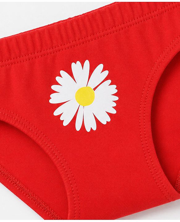 Babyhug 100% Cotton Single Jersey Knit Panties With Polka Dot & Floral Print Pack of 3 - Pink, Red & Beige