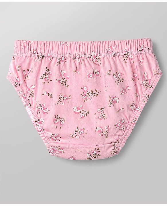 Babyhug 100% Cotton Single Jersey Knit Panties With Floral Print Pack of 3 - Pink and White