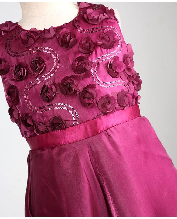 Pine Kids Organza Woven Sleeveless Party Dress With Floral Applique - Maroon