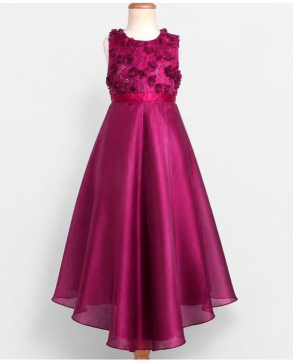 Pine Kids Organza Woven Sleeveless Party Dress With Floral Applique - Maroon