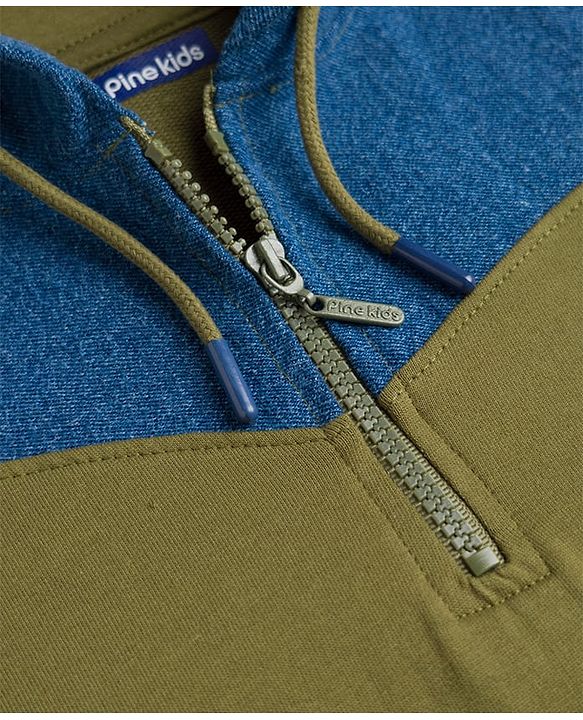 Pine Kids 100% Cotton Knit Full Sleeves Hooded Sweatshirt with Zipper in Olive Green