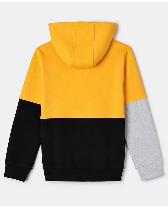 Pine Kids 100% Cotton Knit Full Sleeves Sweatshirt with Fast Print in Yellow