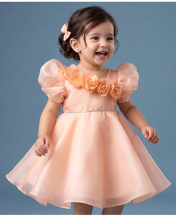 Babyhug Organza Woven Half Puffed Sleeves One Piece Party Dress With Flower Applique - Peach