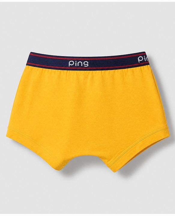 Pine Kids Cotton Knit Above Knee Length Solid Trunks Pack of 3