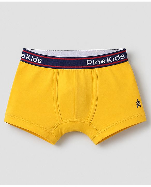 Pine Kids Cotton Knit Above Knee Length Solid Trunks Pack of 3